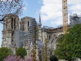 30a91c55 98a1 421d a47d 3644ddfd1a9f