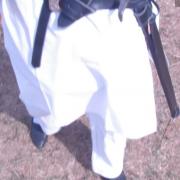 Walking templar
